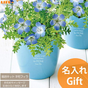  Mtg 킢 av[g  FB 蕨 JCC  c  ސEj v`Mtg ̎q  Fl FB }}F O  LOi  ͔|Lbg lt