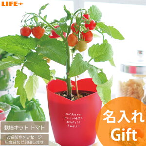  Mtg 킢 av[g w q  wZ wj q Âq FB 蕨 JCC  hV̓  ސEj c  j v`Mtg oYj ̎q F