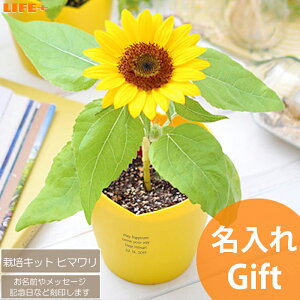  Mtg 킢 av[g w q  wZ wj q Âq FB 蕨 JCC   ސEj c  j v`Mtg oYj ̎q Fl O