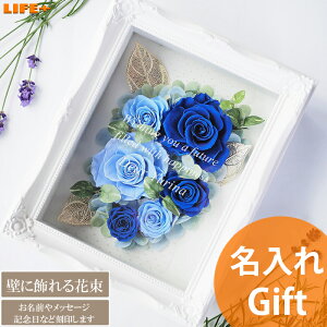  Mtg NX}X JƏj  IV JXj Nj HX X Nu O ԑ j 킢 蕨 F   S[WX LOi JCC v