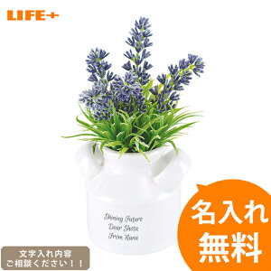 結婚祝い 新築祝い 名入れ 観葉植物 -CT触媒グリーン ラベンダー [開店祝い 店名入り 誕生日プレゼント フェイクグリーン ママ友達 美容室 おしゃれ 友人 最適 贈り物 名前入り 好評 人気 文