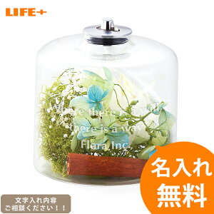 [IWiMtg Mtg]-ICv n[oE O[-[j IV LO o av[g ޏ O 蕨  LOi   җj