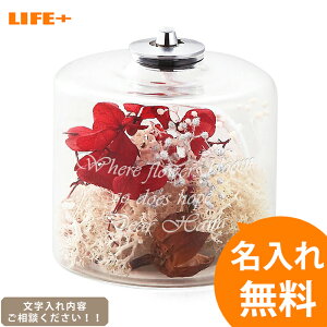 [IWiMtg Mtg]-ICv n[oE bh-[j IV LO o av[g O 蕨 j LOi   җj 