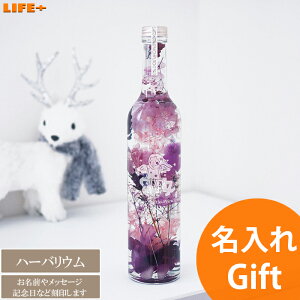 Mtg n[oE L p[v [킢 j җj  j IV  LO av[g O hV̓ 蕨 LOi   X J