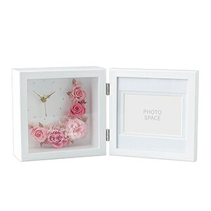  Mtg 킢 tHgt[ j JCC ʐ^ uv  v av[g  LO     e 蕨 LOi j җj