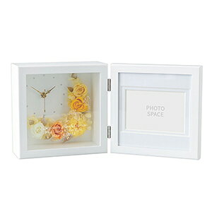  Mtg 킢 tHgt[ j JCC ʐ^ uv  v av[g  LO     e 蕨 LOi j җj