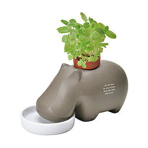  Mtg IV ސEj  NLO ʉ LOi Vzj JCC FB 蕨 X v[g Nj Fl HX e  킢  O 