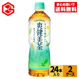 【コカ・コーラ製品10％OFFクーポン 4/30 23:59まで】コカ・コーラ 爽健美茶 600ml ペットボトル 24本入り×2ケース【送料無料】