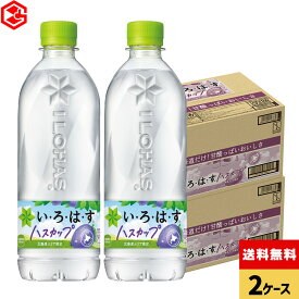 コカ・コーラ い・ろ・は・す ハスカップ 540ml ペットボトル 24本入り×2ケース【送料無料】