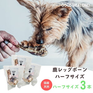 _YVR^VRbO{[ n[tTCY  hbOt[h ̂ Y WrG { s  v[g N goodmealone