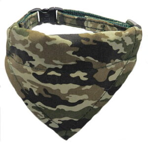 y֏z CTCV[Y p  CTCV[Y@XJ[tt