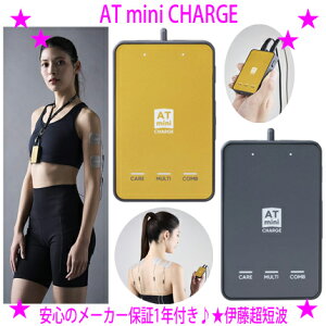 AT mini CHARGE ŐVf̃AX[gɈpĂƒpgÊ AT-mini̍ŐVfoIɓZgАKi􁙃}CNJg }bT[W ITO ATMINI CHARGE