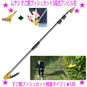 TV y rvbVJbg3iArn 530؂50yIrvbVJbgyʃ^Cv􁟍ƂƂĂyɁIg₷INz̕łyɌyƂĂ