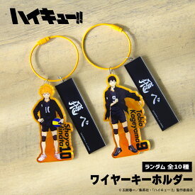 ハイキュー!! 公認 ランダム ワイヤー キーホルダー 10種 2連 シークレット トレーディング コンプリート Box 鳥野高校 青葉城西高校 音駒高校 梟谷学園高校 稲荷崎高校 グッズ 大人 子供 キッズ イラスト かわいい