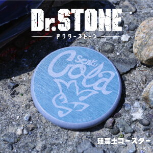 Dr.STONE F ]y R[X^[ ANX^ R[X^[  ~ R[X^[ Lb` N CXg ObY l q LbY CXg 킢