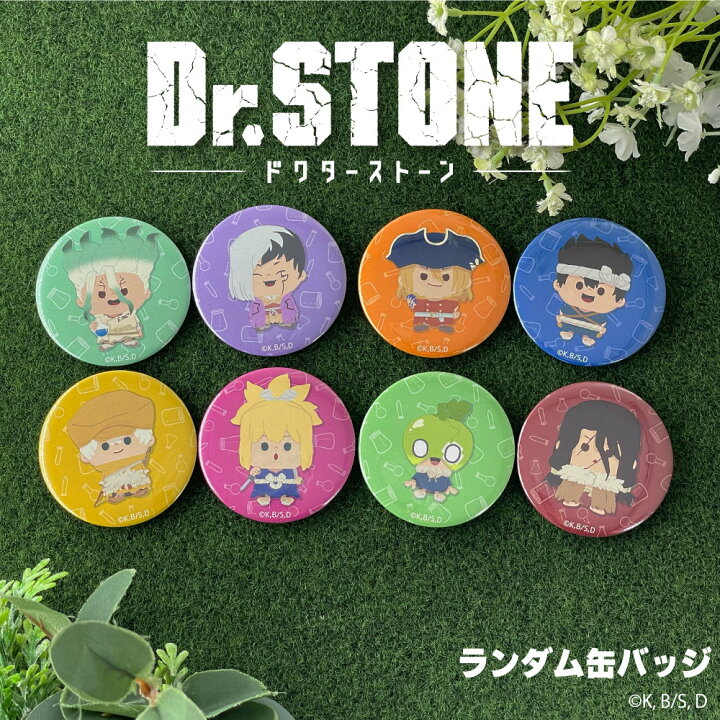 楽天市場】Dr.STONE 公認 ランダム 缶バッジ 9種 シークレット 