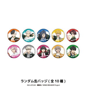 WIND BREAKER F _ ʃobW 10 V[Nbg g[fBO Rv[g Box ObY l q LbY CXg 킢