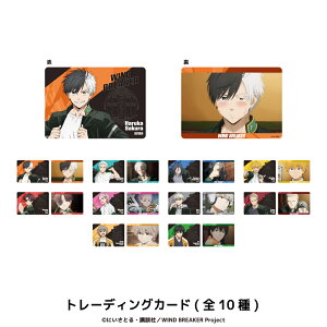 WIND BREAKER F _ NAJ[h 10 V[Nbg g[fBO Rv[g Box ObY l q LbY CXg 킢