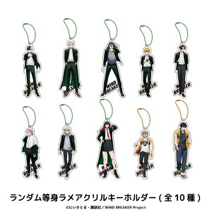 WIND BREAKER F _ g  AN L[z_[ 10 V[Nbg g[fBO Rv[g Box ObY l q LbY CXg 킢