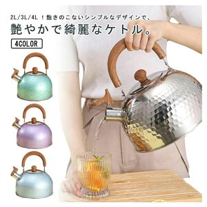ケトル ステンレス 笛吹きケトル 2L 3L 4L やかん 笛吹ケトル 音が鳴る キッチン雑貨 湯沸かし ガス火対応 IH対応 大容量 ケトル ステンレス キッチン用品 安心 直火 IH対応 広口 かわいい おし