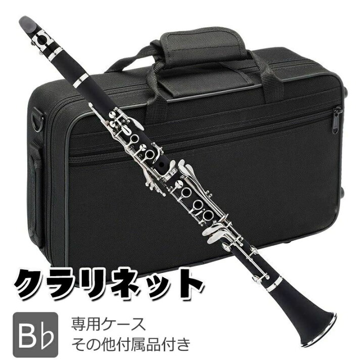 楽天市場】クラリネット 10リード付 練習 お手入れセット ケース付き 