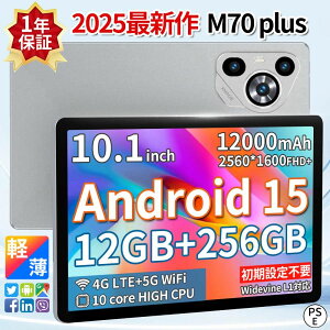 ���掋�� �l�b�g���� �e�����[�N HD���͕ی� 8GB+256GB 10�C���` ���� wi-fi 5G Android15 �{�� PC �^�u���b�g