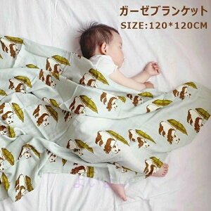 zc Q₦h~ uPbg j̎q zc  oX^I oX[u Vѕz _uK[[Pbg qp LOBe zc ̎q |zc |zc 鋃΍ V 