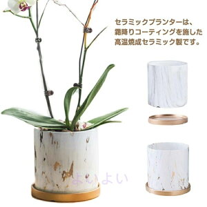  }[u T{e  17cm A CeA Z~bNAؔ Aؔ A vg|bg Mtg 픫   A 14cm  Jo[ | 11cm ϗtA v