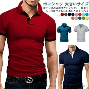 ʋ 傫TCY poloVc rWlX |Vc StEFA StVc z l S X|[c |Vc TVc Y ĕ St n 