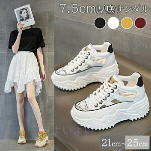 TCY ₷ 傫TCY  ɂȂ AEghA r   fB[X ʊw gAbv ubN 킢 g zCg X|T ʋ ₷ Xj[J[ 