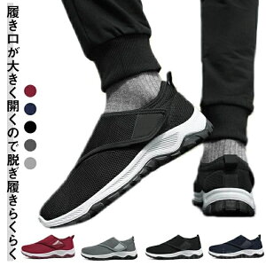 Ȃ ₷ xN Y JWAV[Y ₷ y RȂXj[J[ C  V[Y fB[X ^C