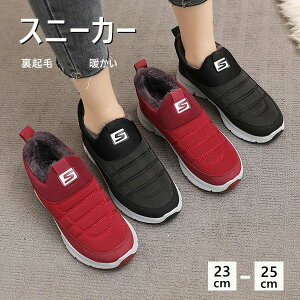 50 EB^[ JWAV[Y V[Y ~ ۉ  hC ~ ~C C 40 23`25cm AEghA