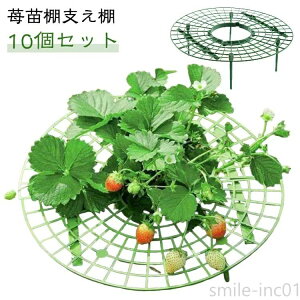 |bN |pi ƒ؉ C`S͔|bN |x C`Sx iX y10ZbgzC`SI Q΍ ͔|T|[g K[fjO