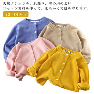 110 jbg H q J[fBK xr[ n  j̎q   ~ t 90 g 100 JWA 120 80 LbY  73