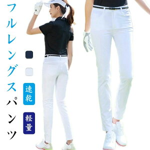 y  傫TCY  p Lv oR ƃY{ AEghA Stpc s St  t H ނ ]