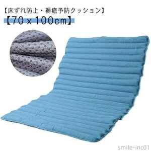 70x100cm ጗\h h~ ̈ʕێ  ̈ʕϊ ̈U NbV ʋC r[Y}bg \h ^}bg ̈ʈێ