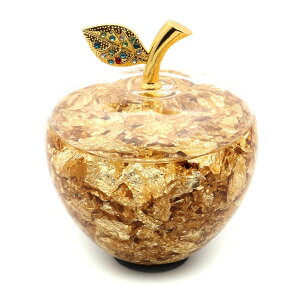   u  S[fAbv K^ KX NX^ u 킢  j  N Gold Apple ̓ LO a v[g Mtg 蕨 ΂ V