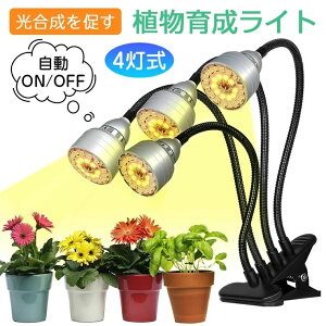 A琬Cg led ^C}[ LEDA琬 ϗtA A 4 tXyNg 5Ki 104LED 琬v 3F[h