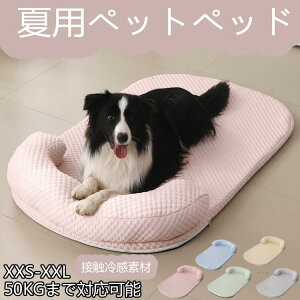 p}bg  ėp Ђ }bg 悹 ⊴}bg N[}bg ybgp L  ybg}bg