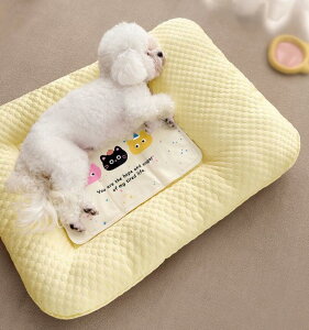 􂦂 \ O N[}bg Lp ACX ybgp ^   Q ėp }bg p