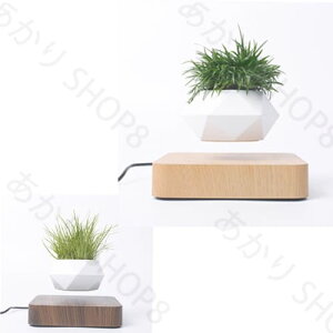 ɕ USvO ]t[eBO|bg v^[   É`[v È ] ~