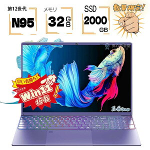 m[gp\R Windows11 Vi 15.6C`  Intel Celeron 12CPU N95 16GB/32GB SSD2TB FHD1920*1080 IPSt DDR4 m[gPC J p\R ViPC p[v  y ݒ ܔN