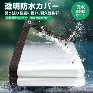 悯VF[h TVF[h hJo[   Dꂽߐ 悯 VF[h ϋv 2×2M 3×3M 4×4M 6×10M  fM I[jO  I[jOՌ  J悯 傫 