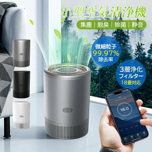 空気清浄機 花粉対策 コンパクト H13 ホワイト 黄砂 花粉 ペット ホコリ ニオイ 脱臭 PM2.5対応 小型 静音 ホワイト系 ハウスダスト 卓上 〜18畳対応 フィルター マイナスイオン発生器 プラズマ