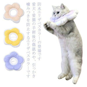 y L Ԍ^  GUxXJ[ ybg  ʋC p rߖh~ \tg pEFA h  