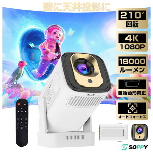 vWFN^[ 16000lm y { V䓊e ^ DVD Android TV 11.0 ƒp 5G wi-fi ^ R 4KΉ Bluetooth5.4 z[vWFN^[ ƒp HiFiXs[J[ Ze IOS/Android/p\R/DVD