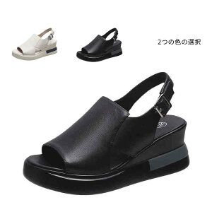 yzE₷ ₷ Ȃ ItBXT_ T_ p wl i[XT_  t fB[X T_ 