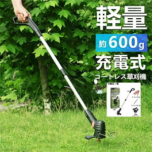 [d @ R[hX @ eʃobe Lk G  y Ў  PSEF j [d  j0.6kg 2024ŐVy2֐ntz