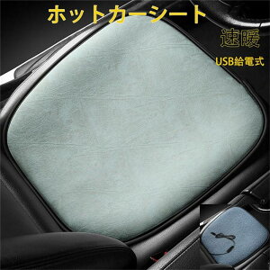 V[gq[^[ J[V[gq[^[ ԁ@^]  45cm zbgV[g J[V[g USBd ʉM zbgJ[V[g 12V ԍ V[gq[^[ ԗp ߔMh~ g[ ~ g