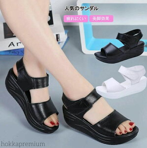 yzfB[X ItBX T_  i[XT_ ɂ ₷ ItBXV[Y }}T_ X|[cT_